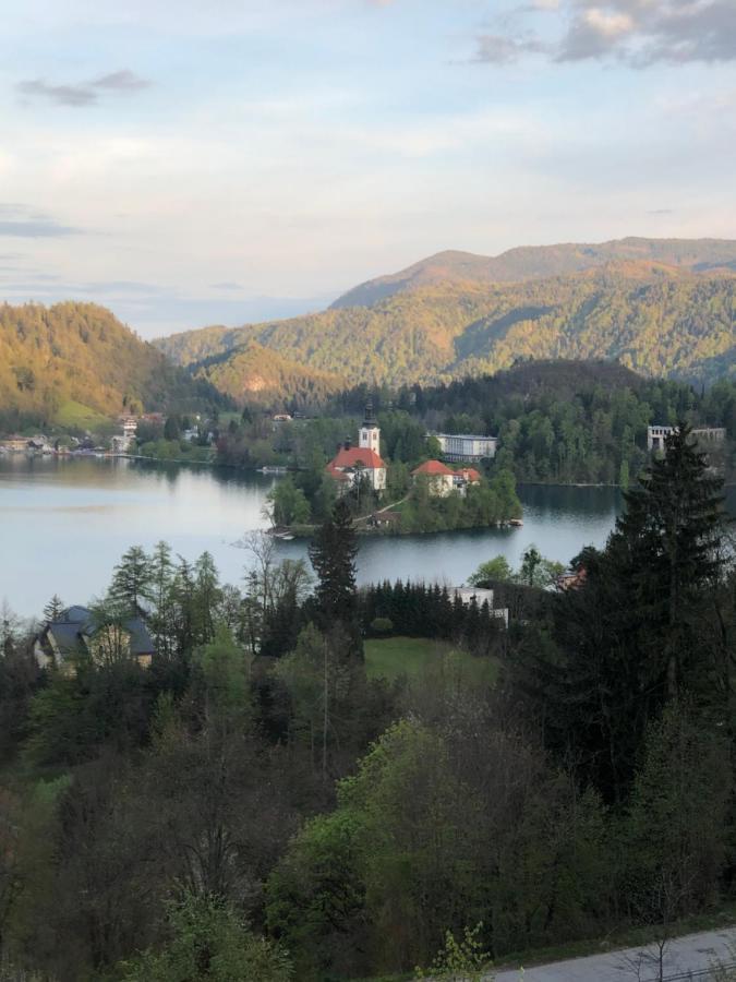Lakeview Guesthouse & Chalet Bled Extérieur photo